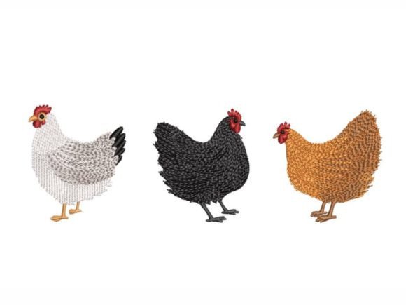 Three Chickens Embroidery Design
